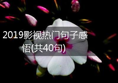 2019影视热门句子感悟(共40句)
