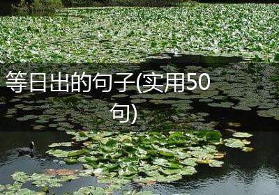 等日出的句子(实用50句)