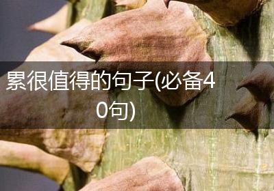 累很值得的句子(必备40句)