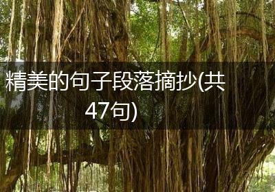 精美的句子段落摘抄(共47句)
