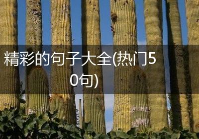 精彩的句子大全(热门50句)