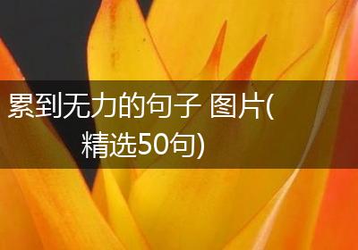 累到无力的句子 图片(精选50句)