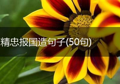 精忠报国造句子(50句)