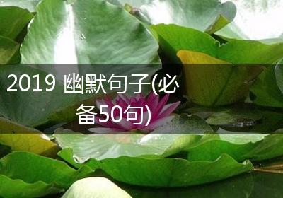 2019 幽默句子(必备50句)