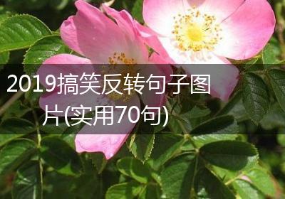 2019搞笑反转句子图片(实用70句)