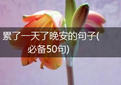 累了一天了晚安的句子(必备50句)