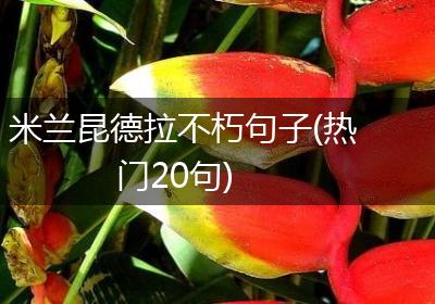 米兰昆德拉不朽句子(热门20句)