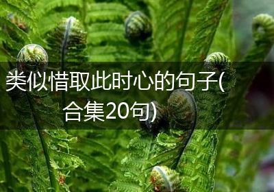 类似惜取此时心的句子(合集20句)
