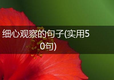 细心观察的句子(实用50句)