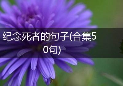 纪念死者的句子(合集50句)
