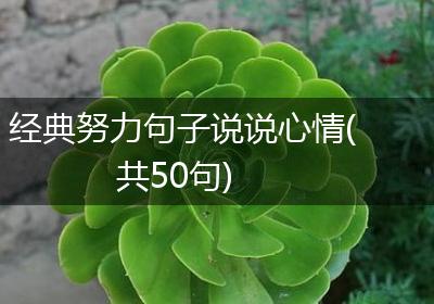 经典努力句子说说心情(共50句)