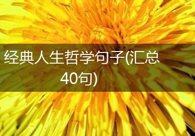 经典人生哲学句子(汇总40句)