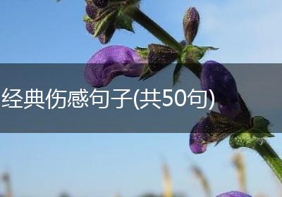 经典伤感句子(共50句)