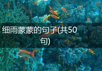 细雨蒙蒙的句子(共50句)