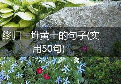终归一堆黄土的句子(实用50句)