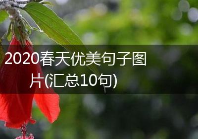 2020春天优美句子图片(汇总10句)
