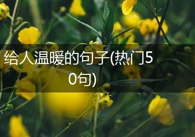 给人温暖的句子(热门50句)