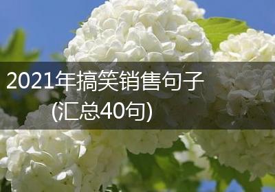 2021年搞笑销售句子(汇总40句)