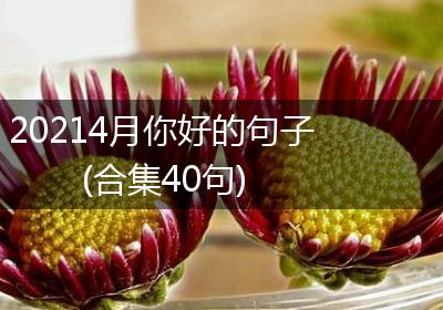 20214月你好的句子(合集40句)