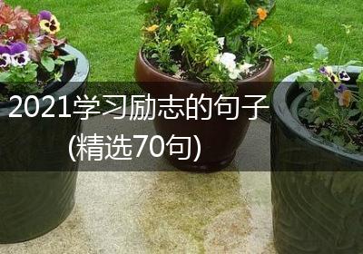 2021学习励志的句子(精选70句)