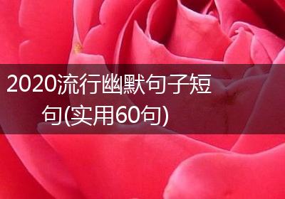 2020流行幽默句子短句(实用60句)