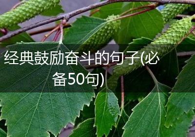 经典鼓励奋斗的句子(必备50句)