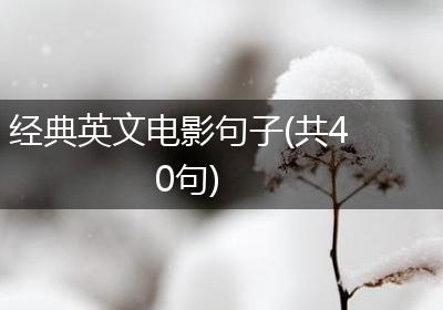 经典英文电影句子(共40句)