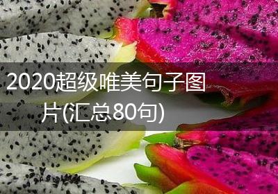 2020超级唯美句子图片(汇总80句)