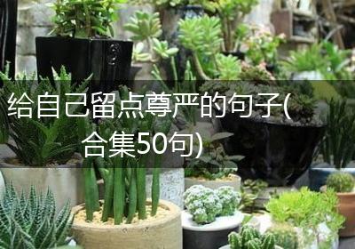 给自己留点尊严的句子(合集50句)