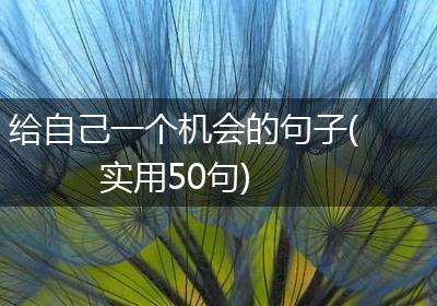 给自己一个机会的句子(实用50句)