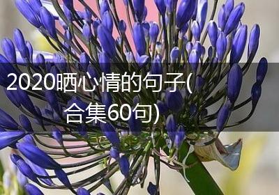 2020晒心情的句子(合集60句)
