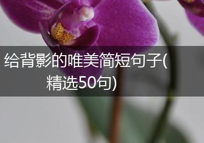 给背影的唯美简短句子(精选50句)