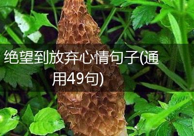绝望到放弃心情句子(通用49句)