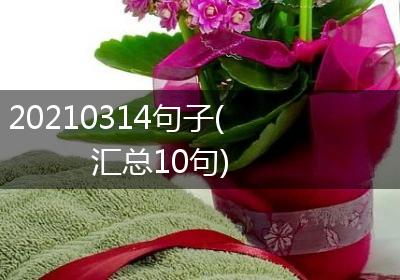20210314句子(汇总10句)