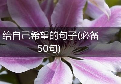给自己希望的句子(必备50句)