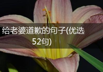 给老婆道歉的句子(优选52句)