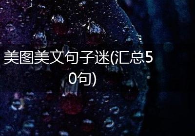 美图美文句子迷(汇总50句)