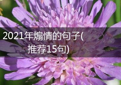 2021年煽情的句子(推荐15句)