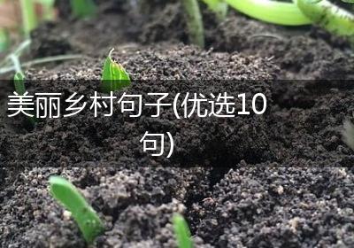 美丽乡村句子(优选10句)