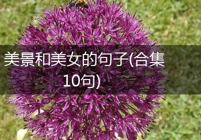 美景和美女的句子(合集10句)