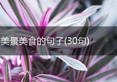 美景美食的句子(30句)