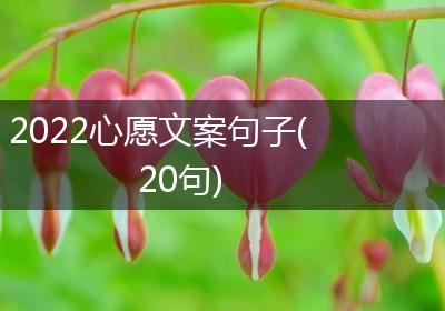 2022心愿文案句子(20句)