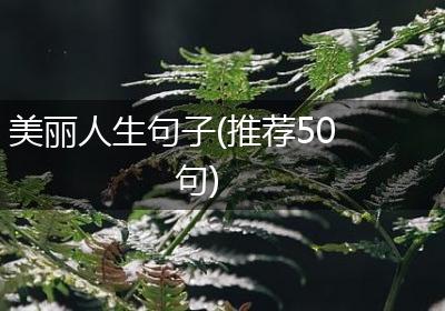 美丽人生句子(推荐50句)