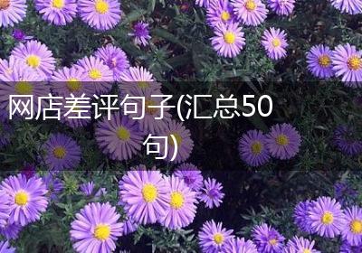网店差评句子(汇总50句)