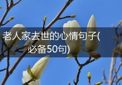 老人家去世的心情句子(必备50句)
