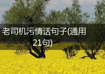 老司机污情话句子(通用21句)
