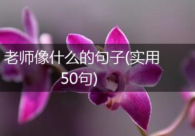 老师像什么的句子(实用50句)