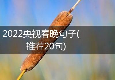 2022央视春晚句子(推荐20句)