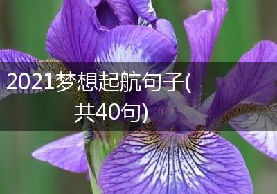 2021梦想起航句子(共40句)