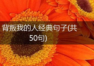 背叛我的人经典句子(共50句)
